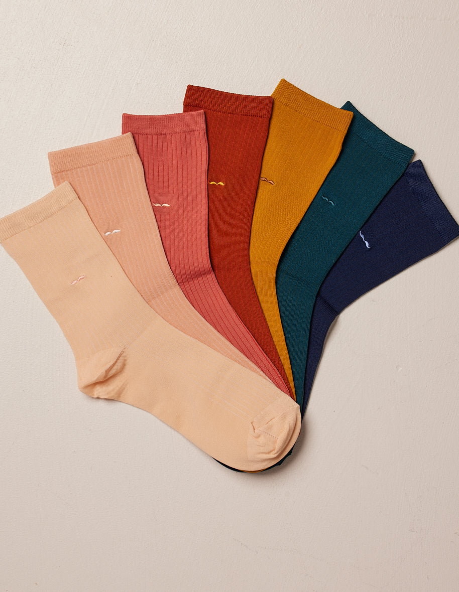 Box of 7 women's socks - multicolored socks